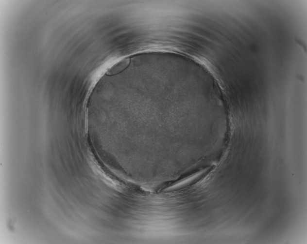 X0000100971371200807011411