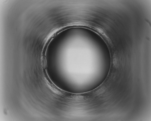X0000100971372200807011411