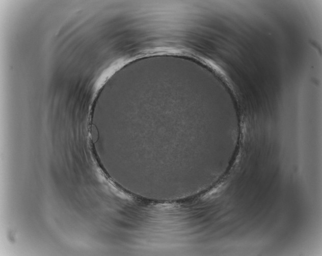 X0000100971373200807011411