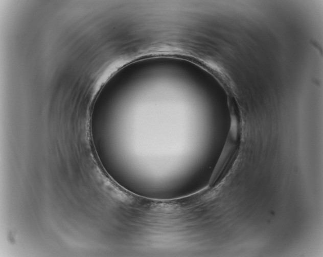 X0000100971374200807011411