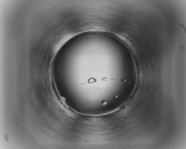X0000100971375200807011411
