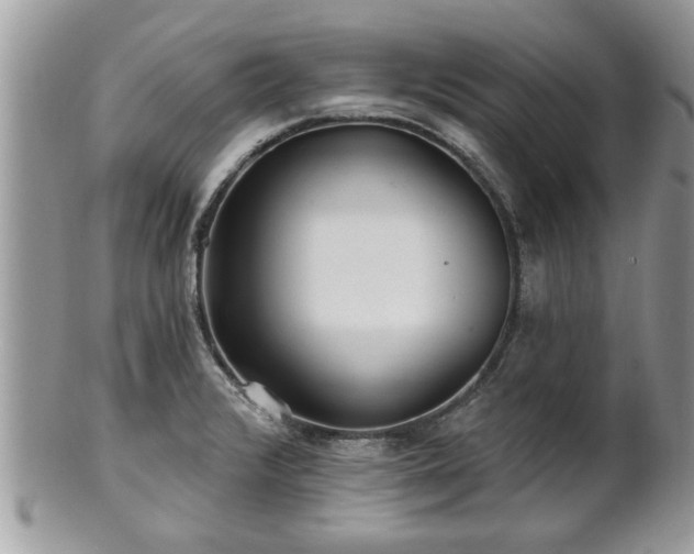 X0000100971376200807011411