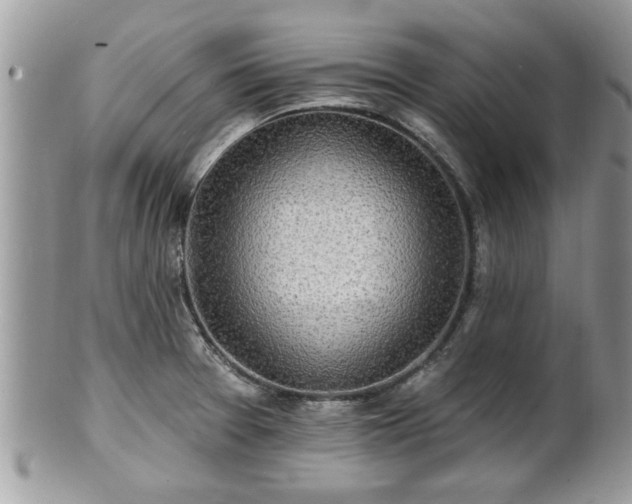 X0000100971377200807011411