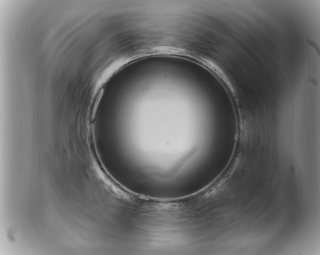 X0000100971381200807011411