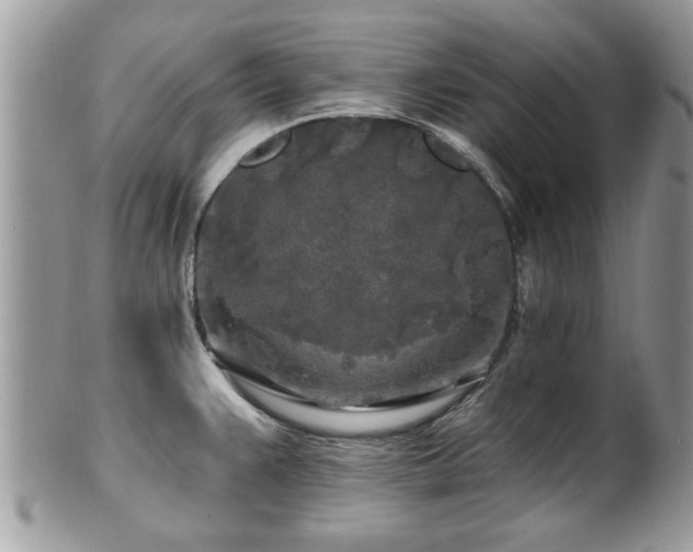 X0000100971383200807011411