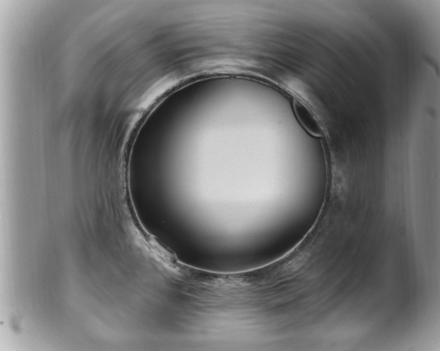 X0000100971384200807011411