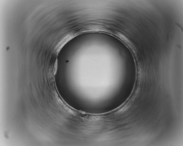X0000100971385200807011411