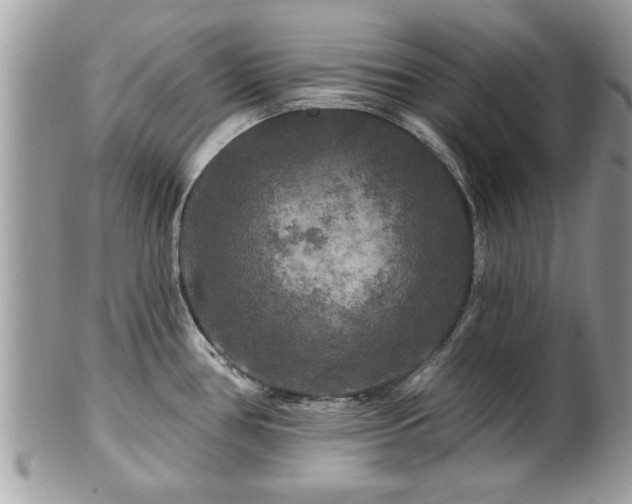 X0000100971386200807011411