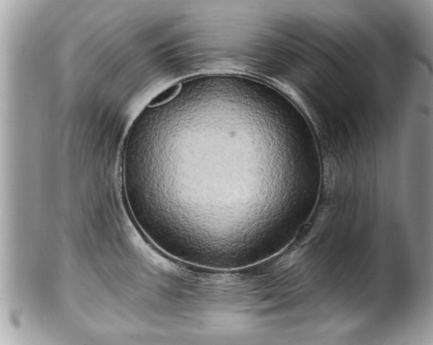 X0000100971387200807011411
