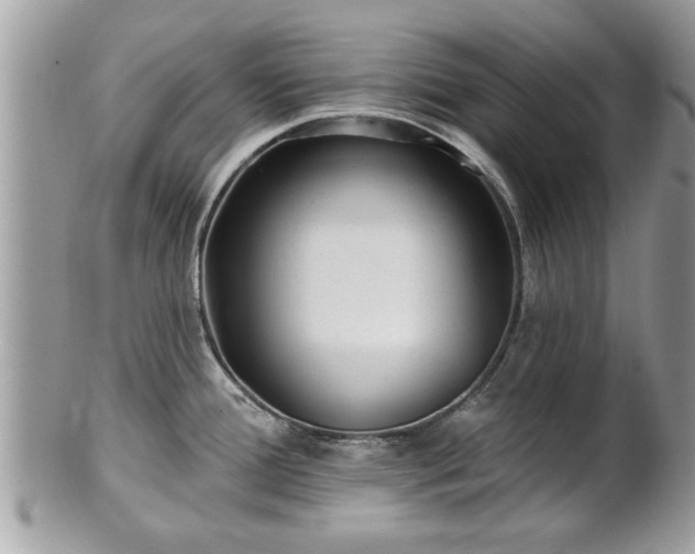 X0000100971388200807011411