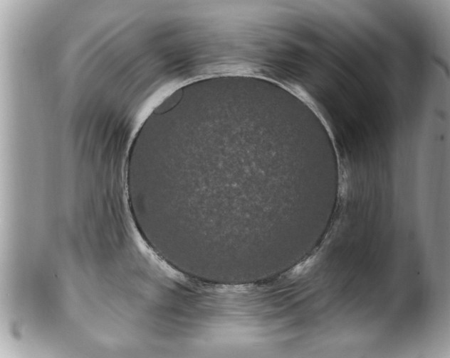 X0000100971389200807011411