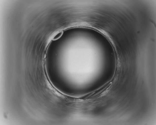 X0000100971390200807011411