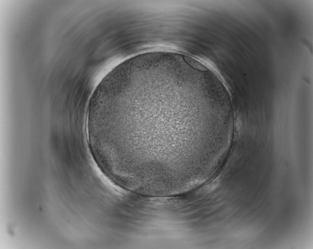 X0000100971391200807011411