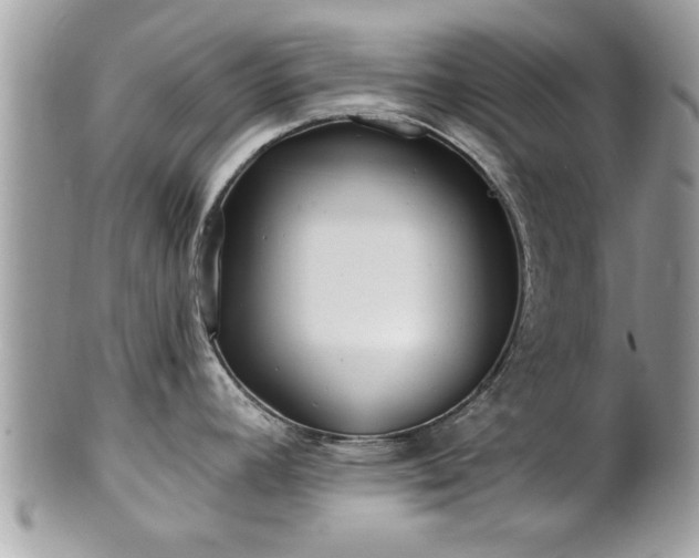 X0000100971392200807011411