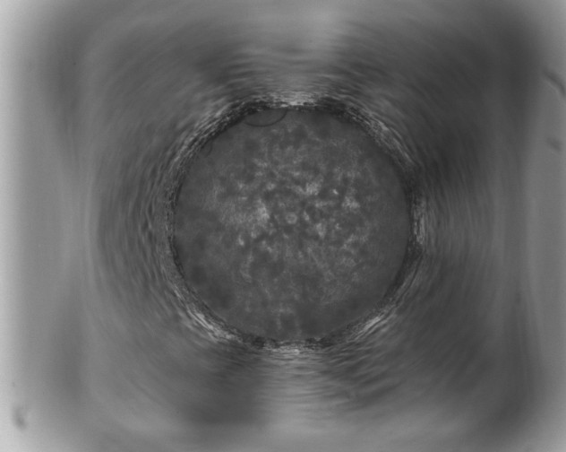 X0000100971393200807011410