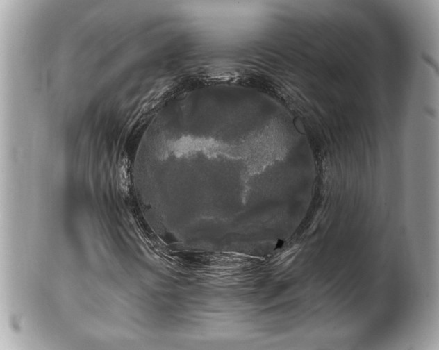 X0000100971394200807011410