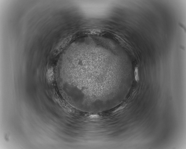 X0000100971395200807011410
