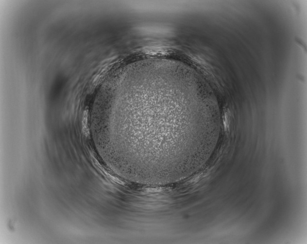 X0000100971396200807011410