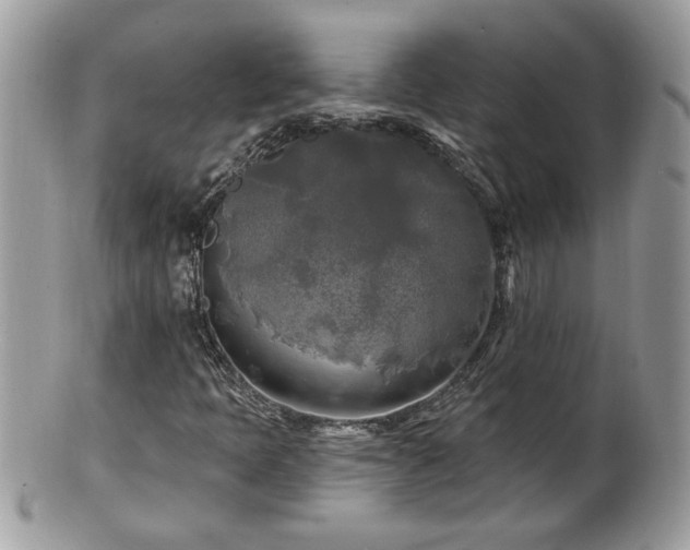X0000100971397200807011410