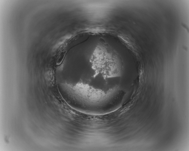 X0000100971398200807011410