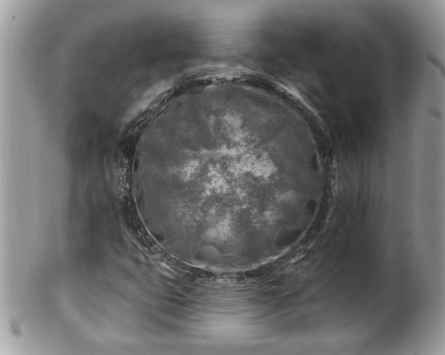 X0000100971399200807011410