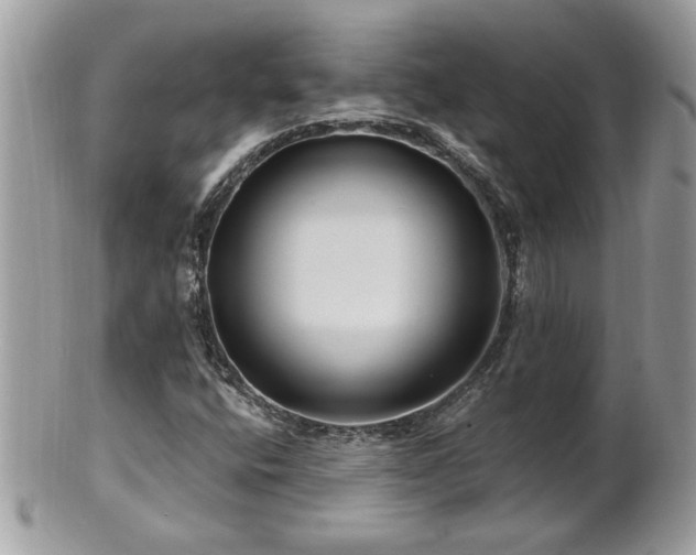 X0000100971400200807011410