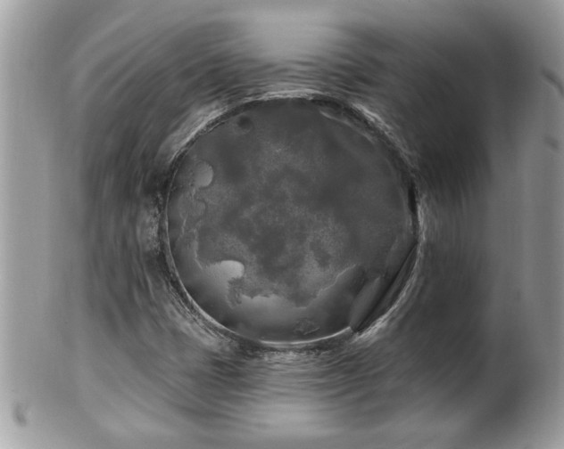 X0000100971401200807011410
