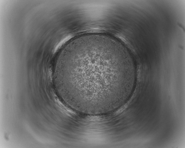 X0000100971402200807011410