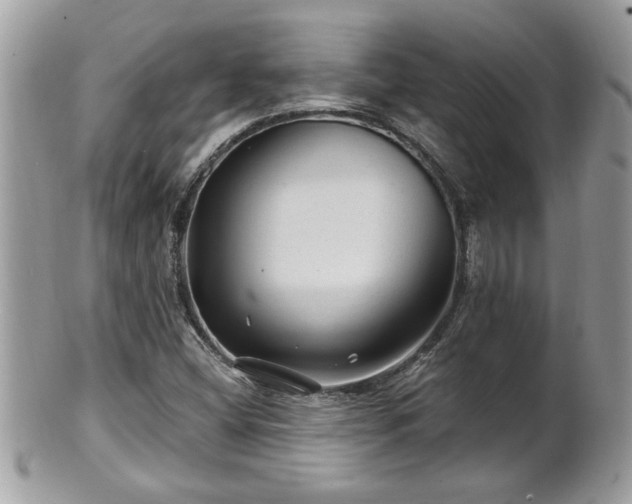 X0000100971404200807011410