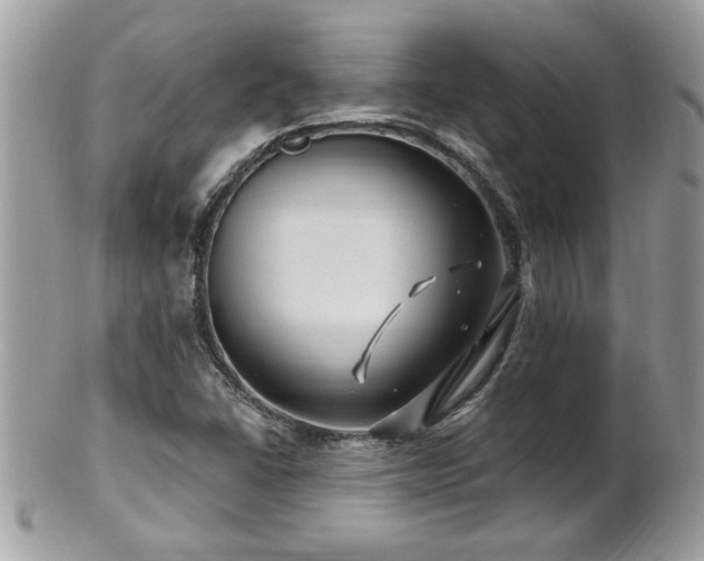 X0000100971406200807011410