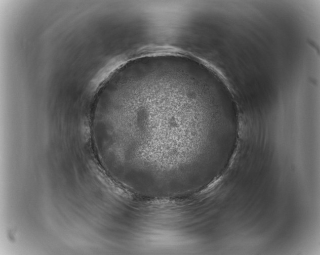 X0000100971407200807011410