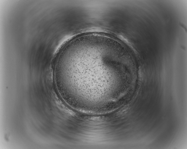 X0000100971408200807011410