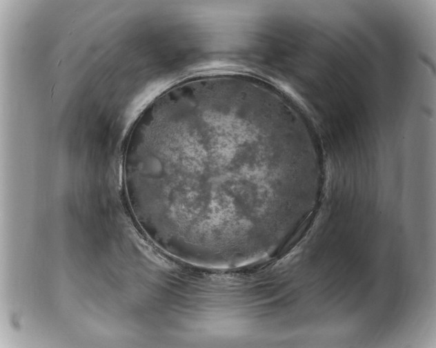 X0000100971413200807011410