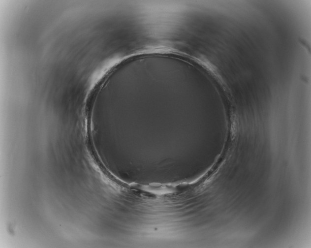 X0000100971414200807011410