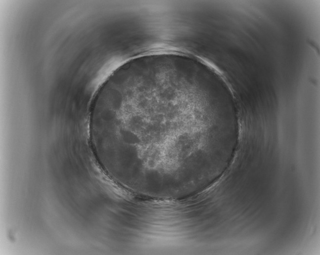 X0000100971415200807011410