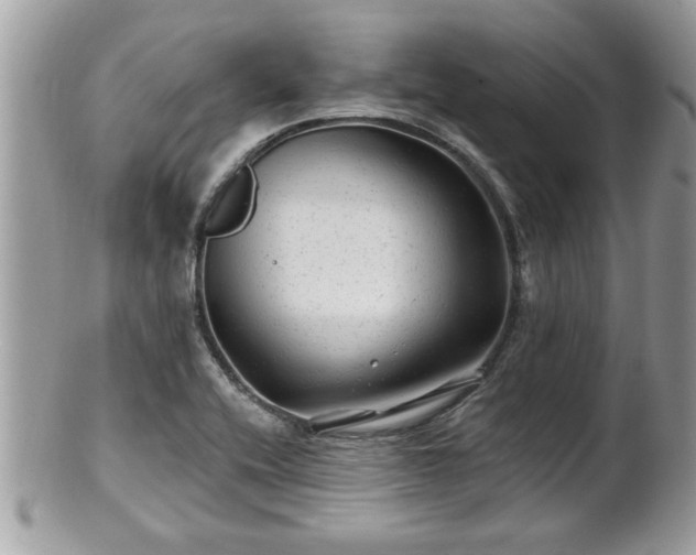 X0000100971416200807011410