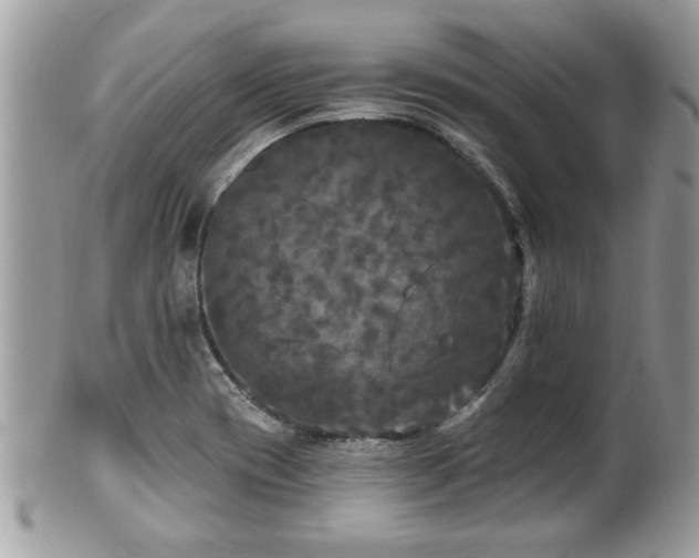 X0000100971417200807011410
