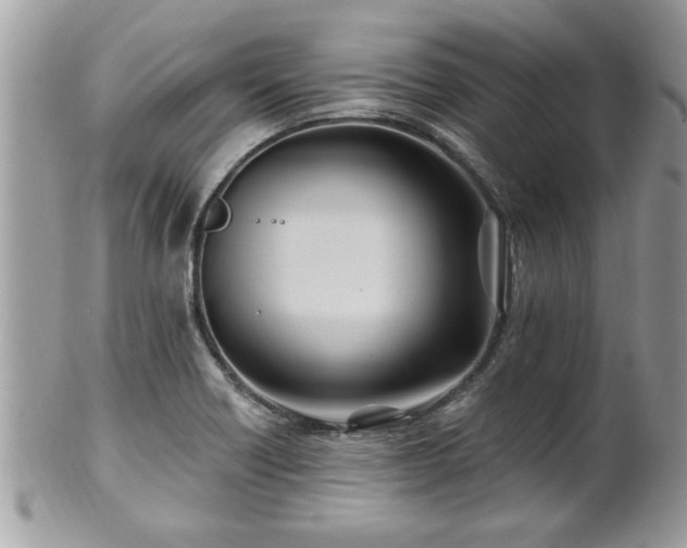 X0000100971418200807011410