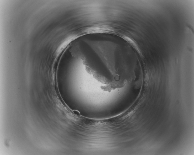 X0000100971419200807011410