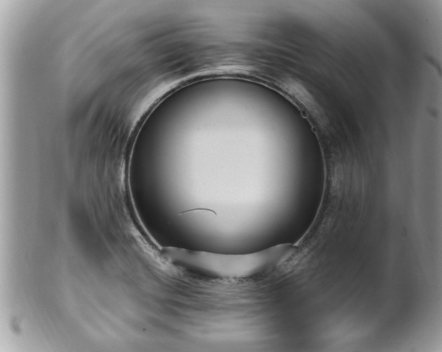 X0000100971420200807011410