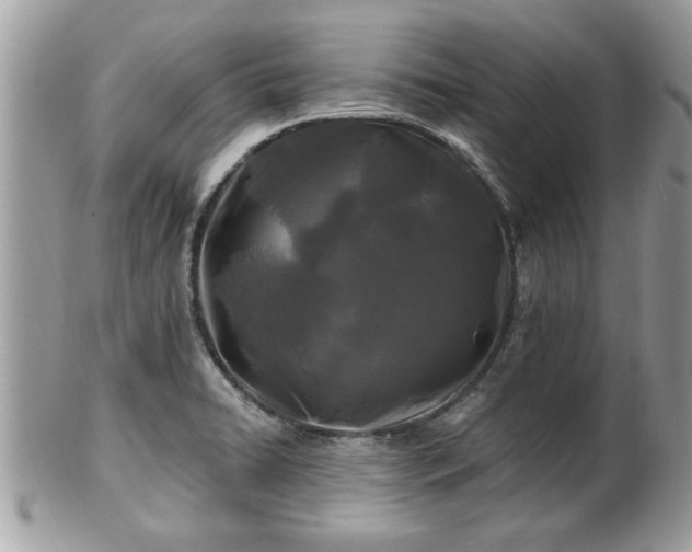X0000100971422200807011410