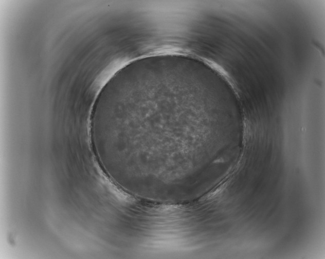 X0000100971423200807011410