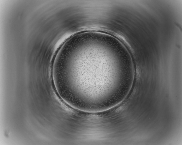 X0000100971424200807011410