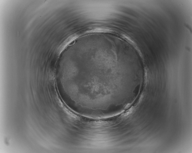 X0000100971425200807011410