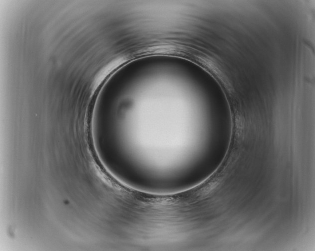 X0000100971426200807011410