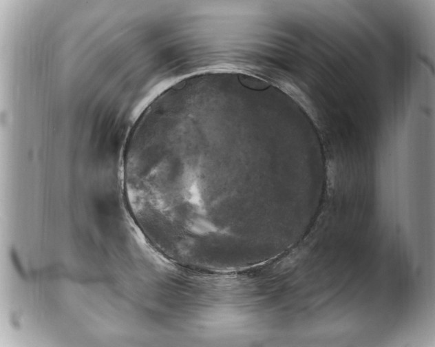 X0000100971428200807011410