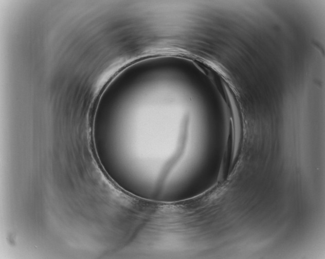 X0000100971430200807011410