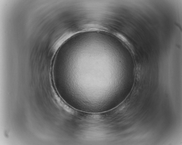 X0000100971431200807011410