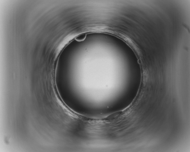 X0000100971432200807011410