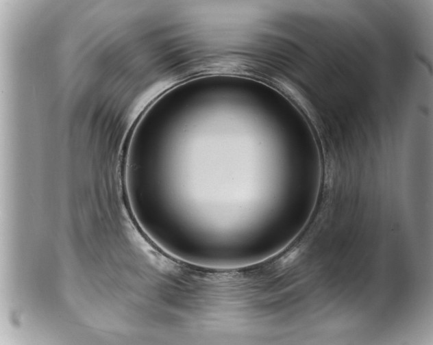 X0000100971434200807011410